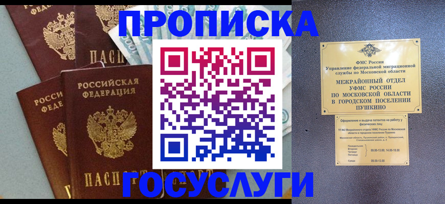 прописка гарантия в Камчатской области